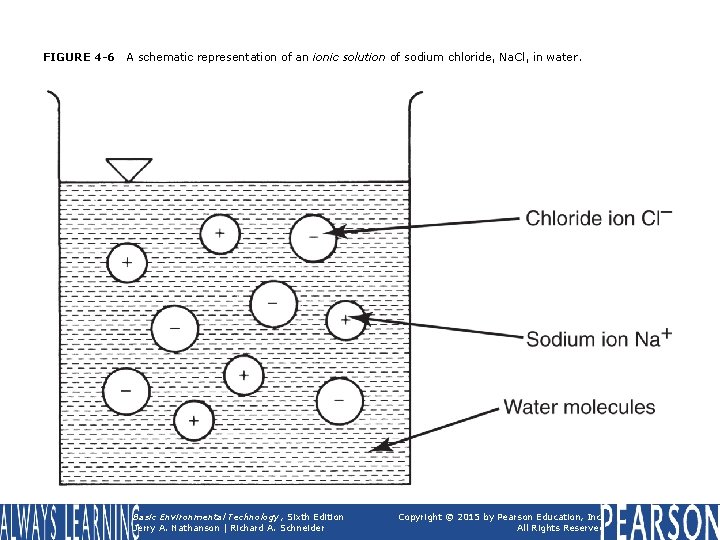 FIGURE 4 -6 A schematic representation of an ionic solution of sodium chloride, Na.