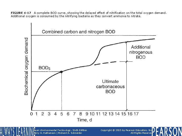 FIGURE 4 -17 A complete BOD curve, showing the delayed effect of nitrification on