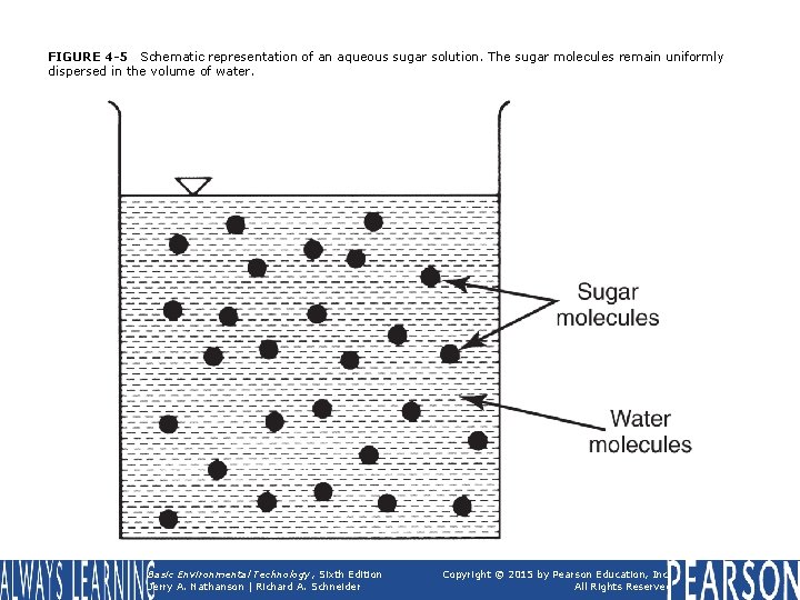 FIGURE 4 -5 Schematic representation of an aqueous sugar solution. The sugar molecules remain