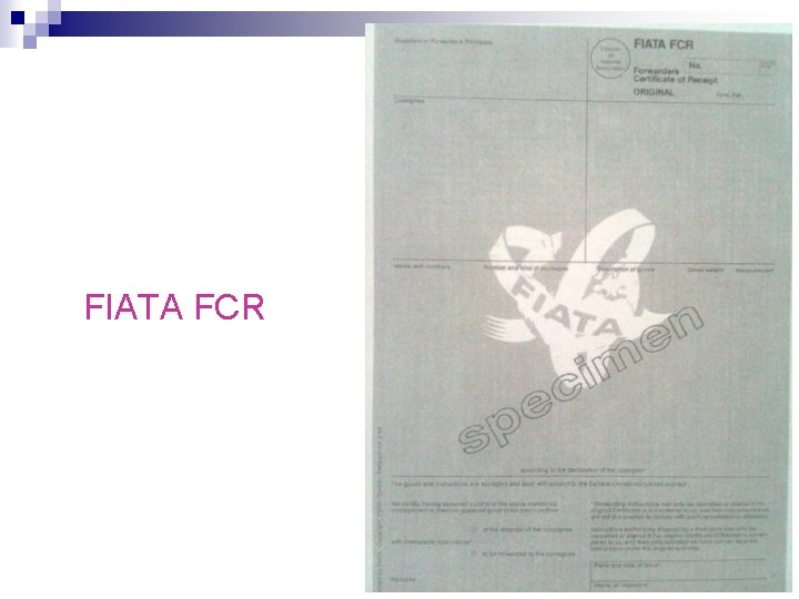 FIATA FCR FIATA FCR