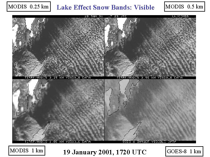 MODIS 0. 25 km MODIS 1 km Lake Effect Snow Bands: Visible MODIS 0.
