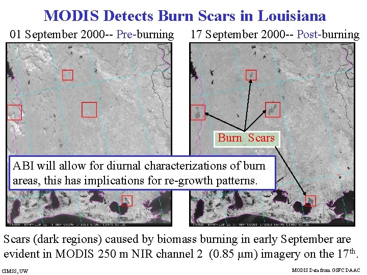 MODIS Detects Burn Scars in Louisiana 01 September 2000 -- Pre-burning 17 September 2000