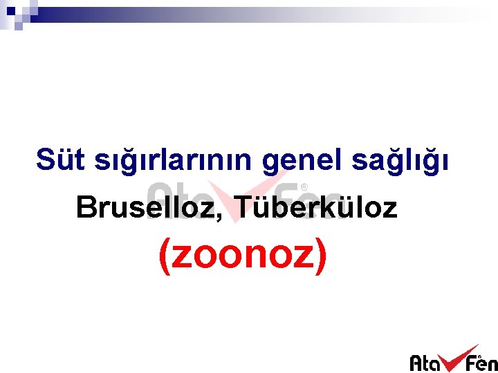 Süt sığırlarının genel sağlığı Bruselloz, Tüberküloz (zoonoz) 