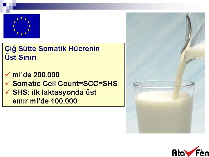 Çiğ Sütte Somatik Hücrenin Üst Sınırı ü ml’de 200. 000 ü Somatic Cell Count=SCC=SHS