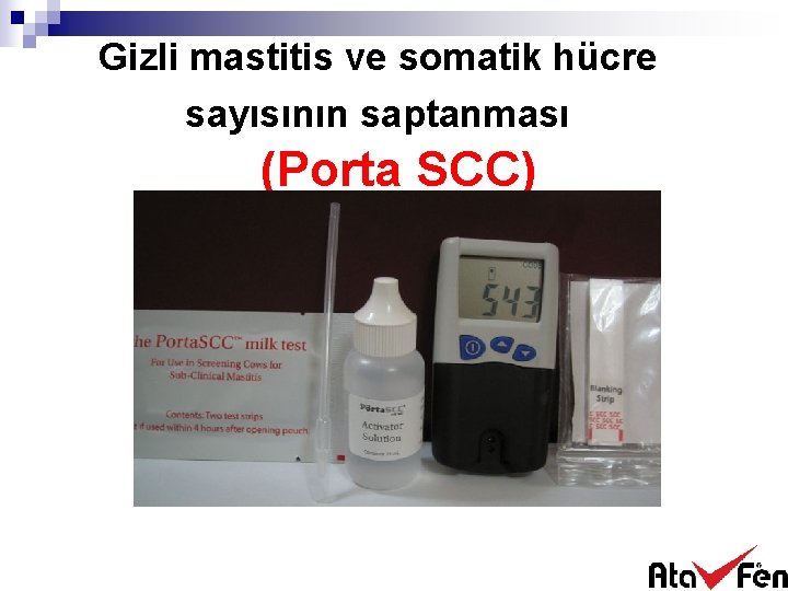 Gizli mastitis ve somatik hücre sayısının saptanması (Porta SCC) 