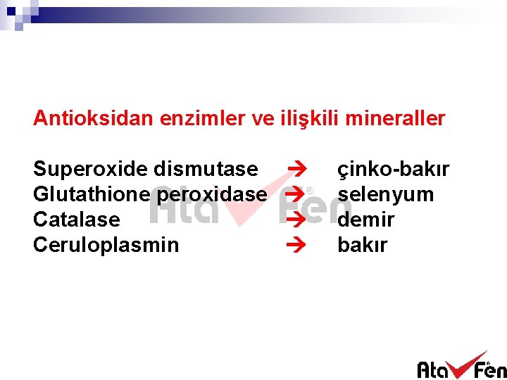 Antioksidan enzimler ve ilişkili mineraller Superoxide dismutase Glutathione peroxidase Catalase Ceruloplasmin çinko-bakır selenyum demir