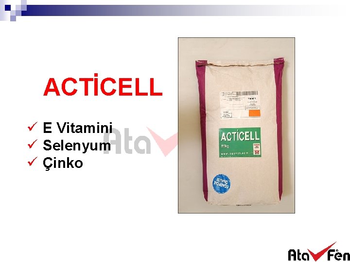 ACTİCELL ü E Vitamini ü Selenyum ü Çinko 