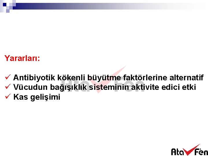 Yararları: ü Antibiyotik kökenli büyütme faktörlerine alternatif ü Vücudun bağışıklık sisteminin aktivite edici etki