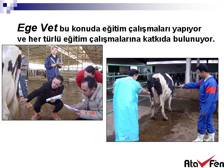 Ege Vet bu konuda eğitim çalışmaları yapıyor ve her türlü eğitim çalışmalarına katkıda bulunuyor.