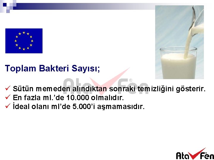 Toplam Bakteri Sayısı; ü Sütün memeden alındıktan sonraki temizliğini gösterir. ü En fazla ml.