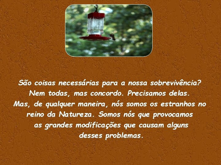 São coisas necessárias para a nossa sobrevivência? Nem todas, mas concordo. Precisamos delas. Mas,