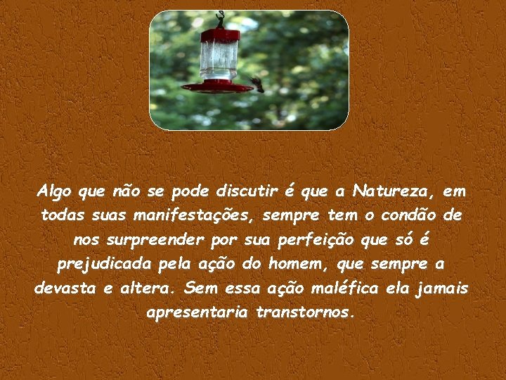 Algo que não se pode discutir é que a Natureza, em todas suas manifestações,