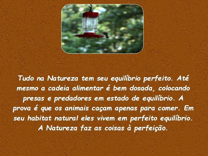 Tudo na Natureza tem seu equilíbrio perfeito. Até mesmo a cadeia alimentar é bem