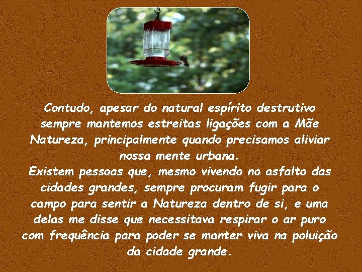 Contudo, apesar do natural espírito destrutivo sempre mantemos estreitas ligações com a Mãe Natureza,