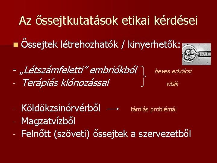 Az őssejtkutatások etikai kérdései n Őssejtek létrehozhatók / kinyerhetők: - „Létszámfeletti” embriókból - Terápiás