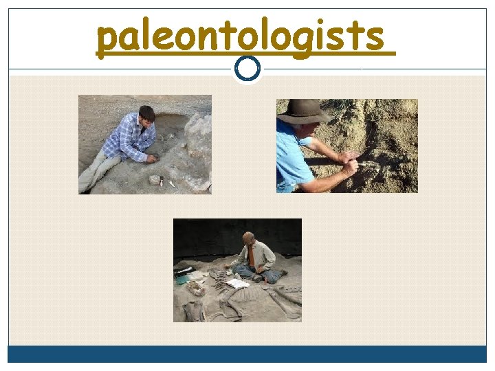 paleontologists 