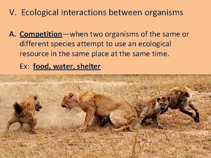 V. Ecological Interactions between organisms A. Competition—when two organisms of the same or different