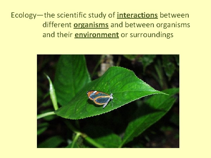 Ecology—the scientific study of interactions between different organisms and between organisms and their environment