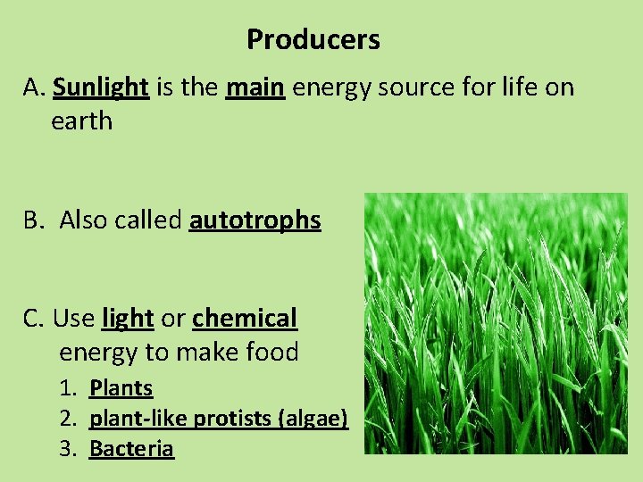 Producers A. Sunlight is the main energy source for life on earth B. Also