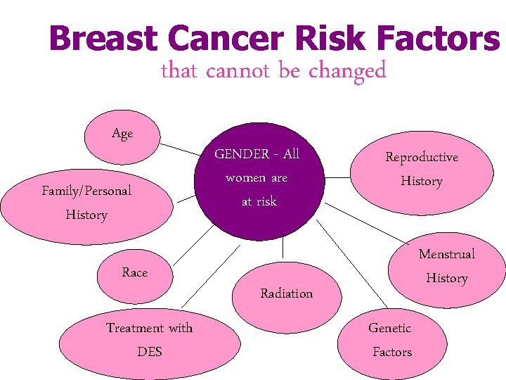 Breast Cancer Risk Factors that cannot be changed Age Family/Personal History Race Treatment with