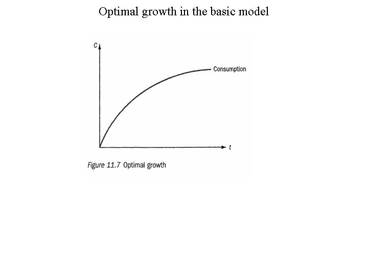 Optimal growth in the basic model 