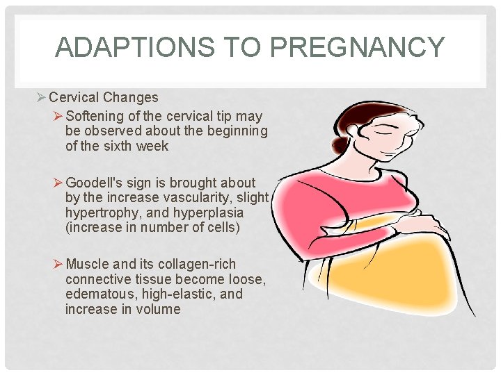 ADAPTIONS TO PREGNANCY Ø Cervical Changes Ø Softening of the cervical tip may be