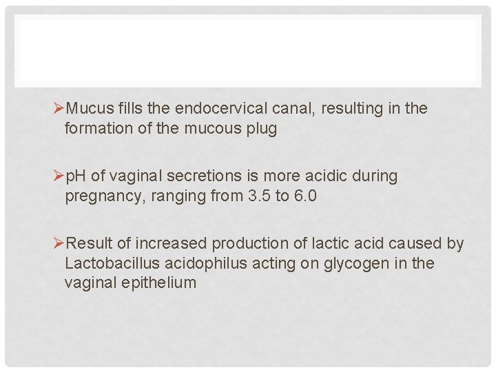 ØMucus fills the endocervical canal, resulting in the formation of the mucous plug Øp.