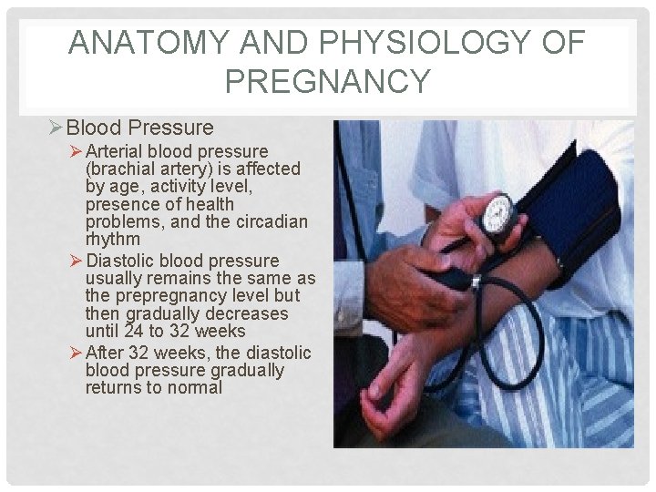 ANATOMY AND PHYSIOLOGY OF PREGNANCY ØBlood Pressure Ø Arterial blood pressure (brachial artery) is