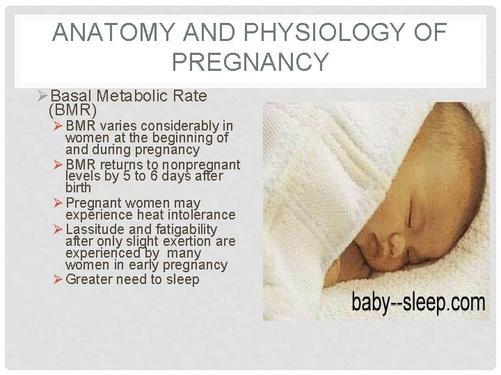 ANATOMY AND PHYSIOLOGY OF PREGNANCY ØBasal Metabolic Rate (BMR) Ø BMR varies considerably in