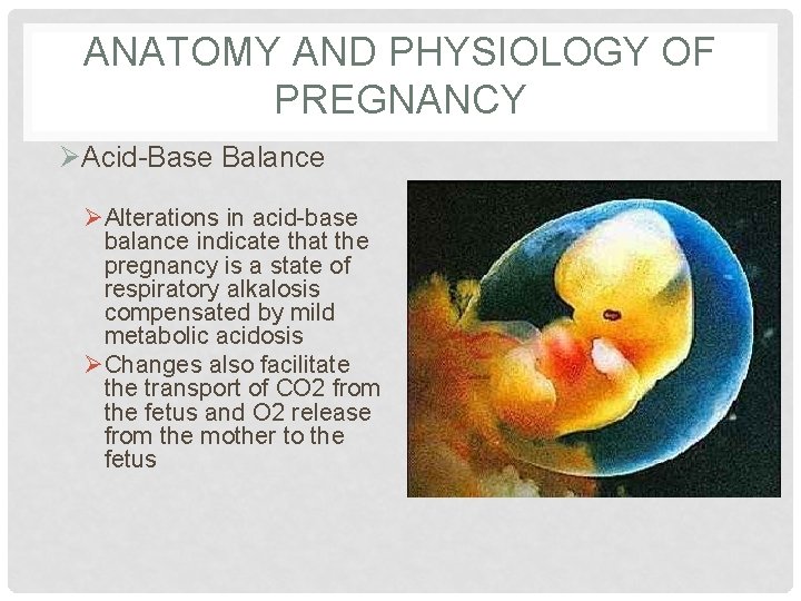 ANATOMY AND PHYSIOLOGY OF PREGNANCY ØAcid-Base Balance ØAlterations in acid-base balance indicate that the