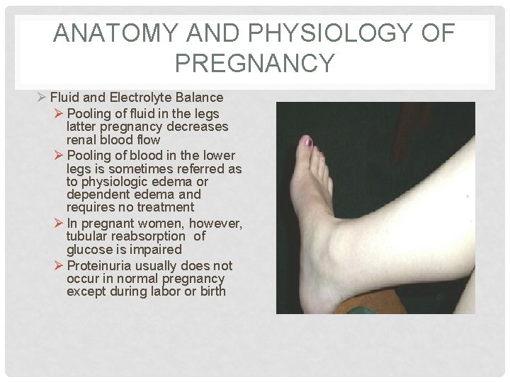 ANATOMY AND PHYSIOLOGY OF PREGNANCY Ø Fluid and Electrolyte Balance Ø Pooling of fluid