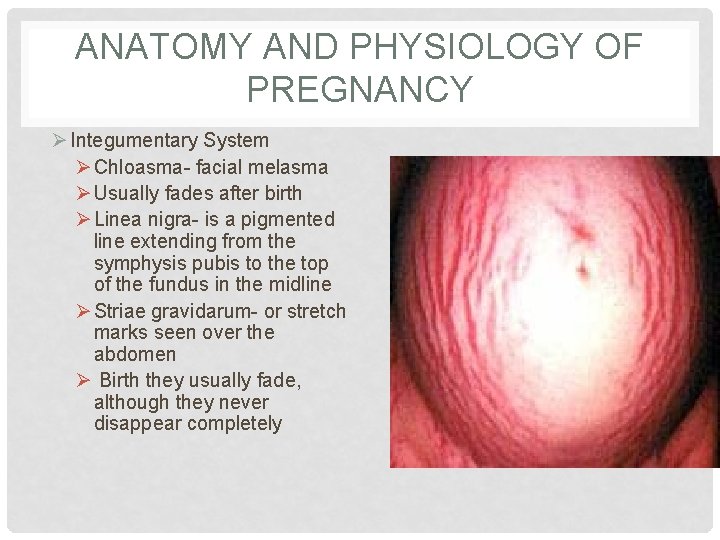 ANATOMY AND PHYSIOLOGY OF PREGNANCY Ø Integumentary System Ø Chloasma- facial melasma Ø Usually