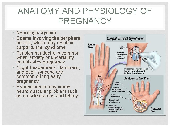 ANATOMY AND PHYSIOLOGY OF PREGNANCY • Neurologic System • Edema involving the peripheral nerves,