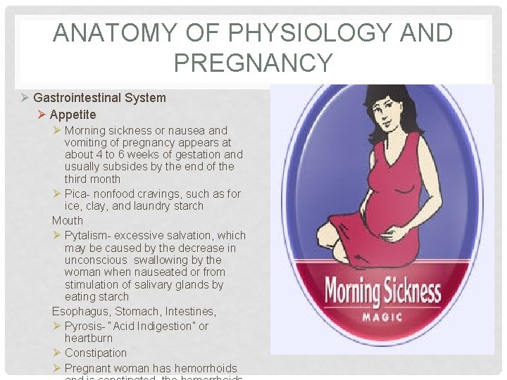 ANATOMY OF PHYSIOLOGY AND PREGNANCY Ø Gastrointestinal System Ø Appetite Ø Morning sickness or