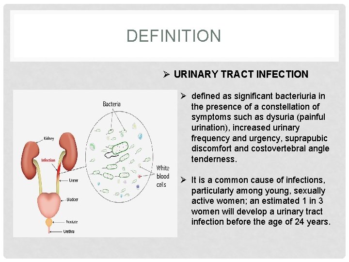 DEFINITION Ø URINARY TRACT INFECTION Ø defined as significant bacteriuria in the presence of