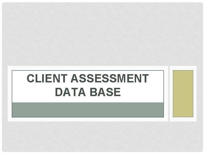 CLIENT ASSESSMENT DATA BASE 