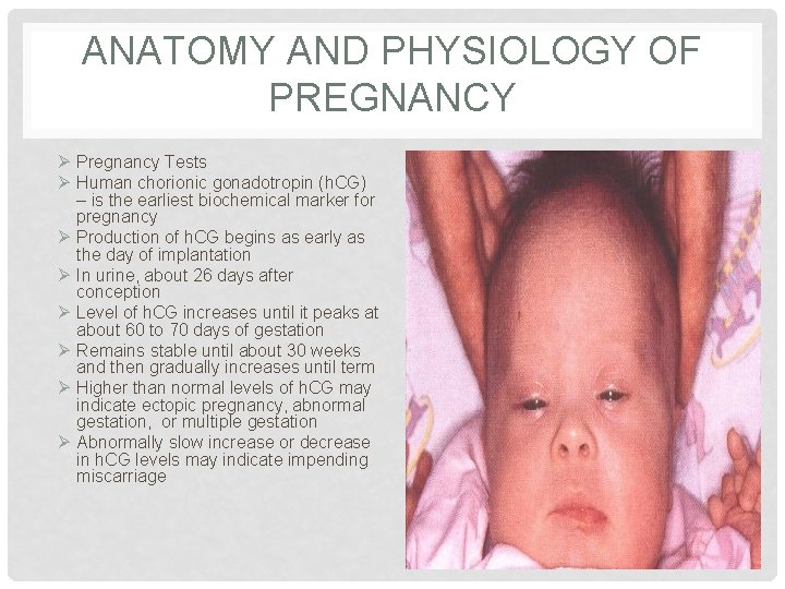 ANATOMY AND PHYSIOLOGY OF PREGNANCY Ø Pregnancy Tests Ø Human chorionic gonadotropin (h. CG)