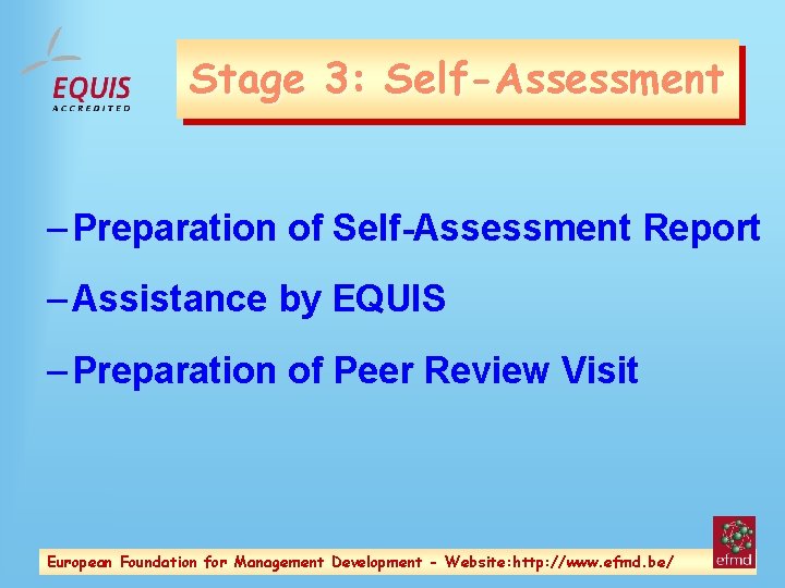 Stage 3: Self-Assessment – Preparation of Self-Assessment Report – Assistance by EQUIS – Preparation