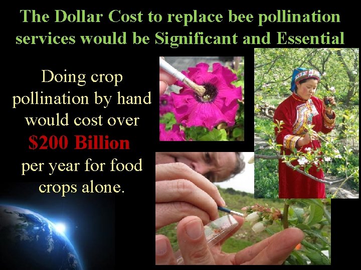 The Dollar Cost to replace bee pollination services would be Significant and Essential Doing