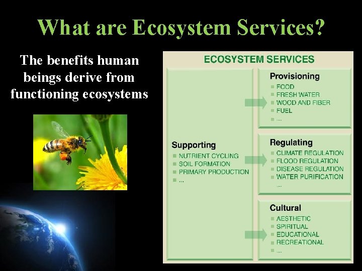 What are Ecosystem Services? The benefits human beings derive from functioning ecosystems 4 