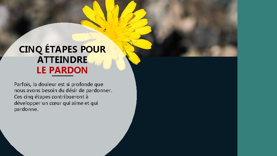 CINQ ÉTAPES POUR ATTEINDRE LE PARDON Parfois, la douleur est si profonde que nous