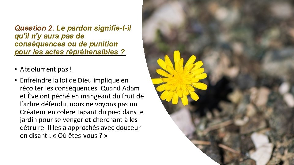 Question 2. Le pardon signifie-t-il qu'il n'y aura pas de conséquences ou de punition