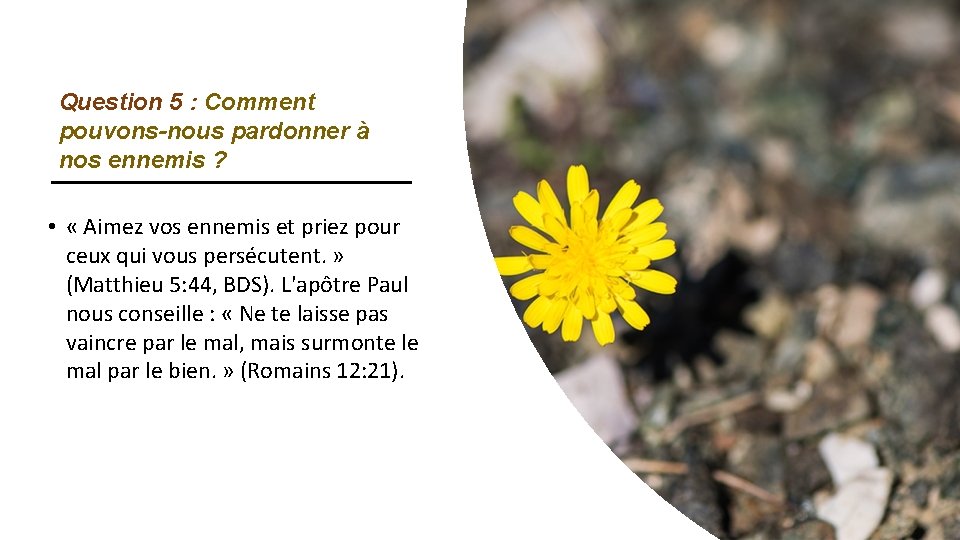 Question 5 : Comment pouvons-nous pardonner à nos ennemis ? • « Aimez vos