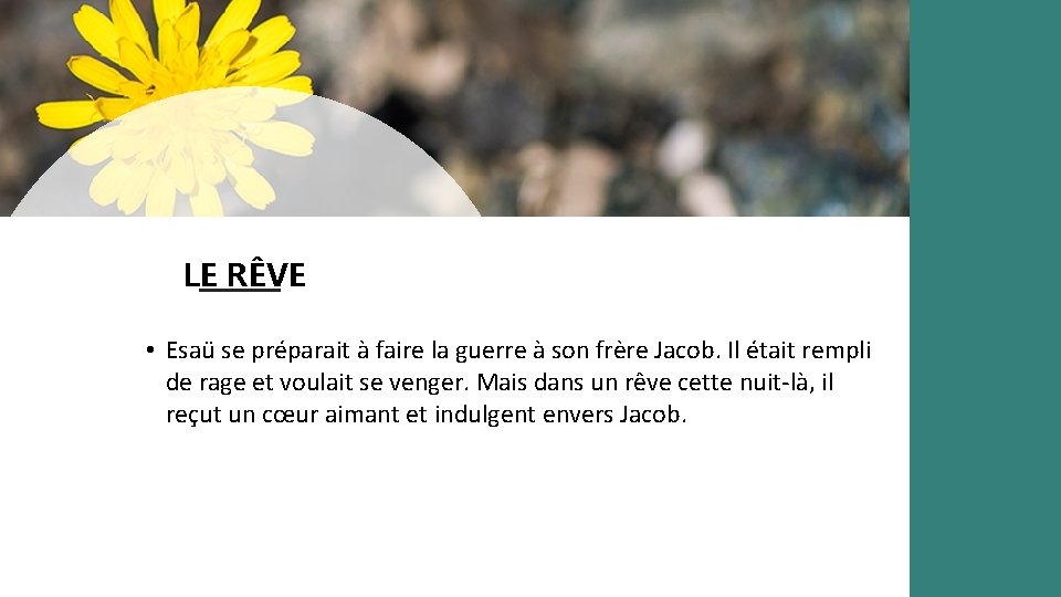 LE RÊVE • Esaü se préparait à faire la guerre à son frère Jacob.