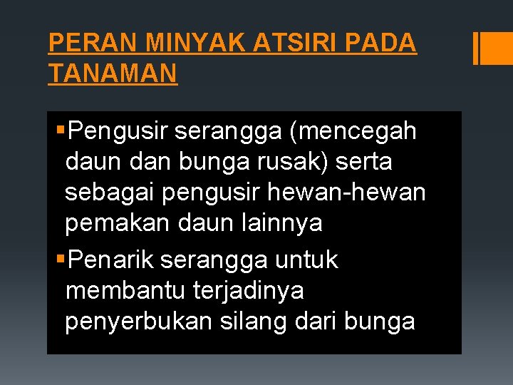 PERAN MINYAK ATSIRI PADA TANAMAN §Pengusir serangga (mencegah daun dan bunga rusak) serta sebagai