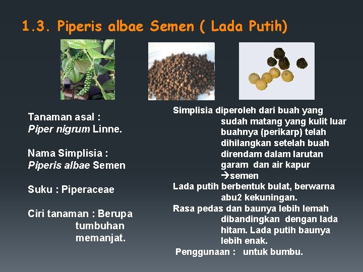 1. 3. Piperis albae Semen ( Lada Putih) Tanaman asal : Piper nigrum Linne.