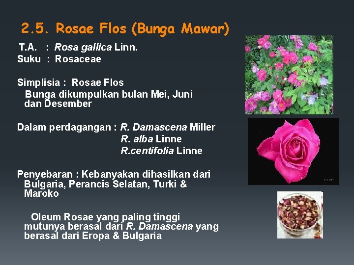 2. 5. Rosae Flos (Bunga Mawar) T. A. : Rosa gallica Linn. Suku :