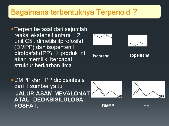 Bagaimana terbentuknya Terpenoid ? § Terpen berasal dari sejumlah reaksi ekstensif antara 2 unit