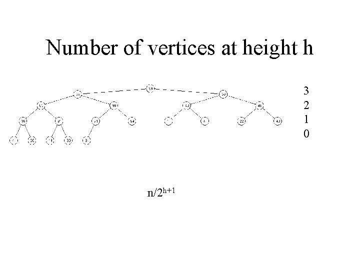 Number of vertices at height h 3 2 1 0 n/2 h+1 