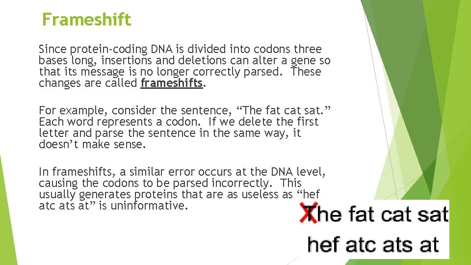 Frameshift Since protein-coding DNA is divided into codons three bases long, insertions and deletions